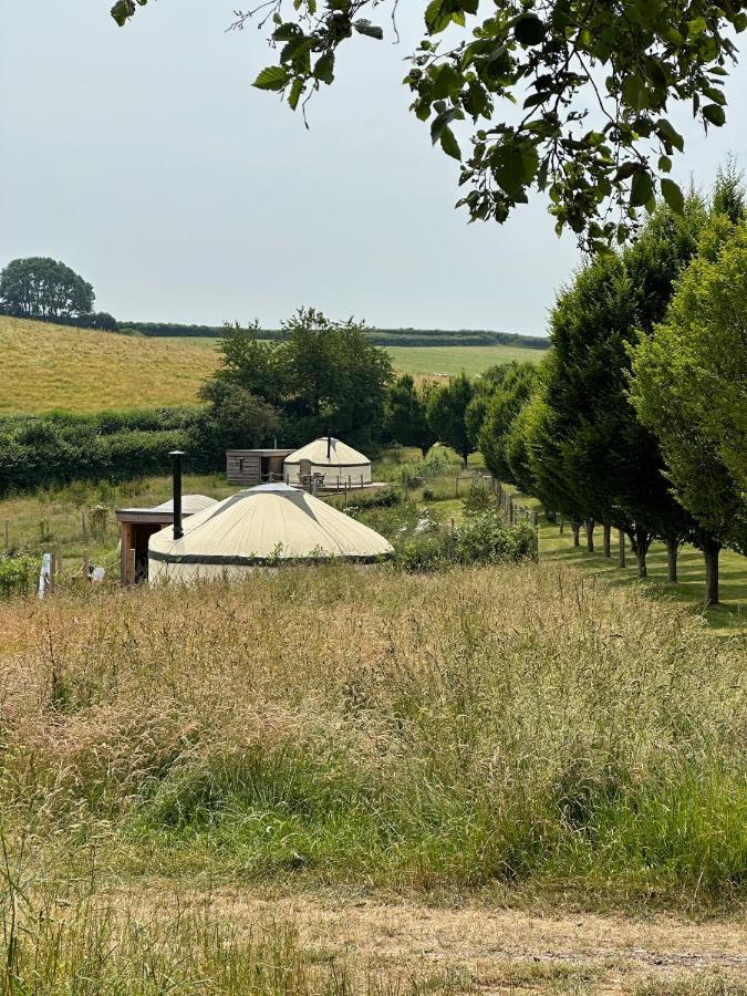 Bracken Yurt At Walnut Farm Glamping Hotel Netherbury Bagian luar foto