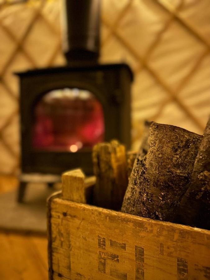 Bracken Yurt At Walnut Farm Glamping Hotel Netherbury Bagian luar foto